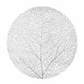 leaf srebro.jpg