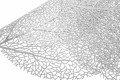 leaf srebro zoom.jpg