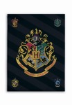 Koc licencyjny polarowy Harry Potter 100x140 BrendMac