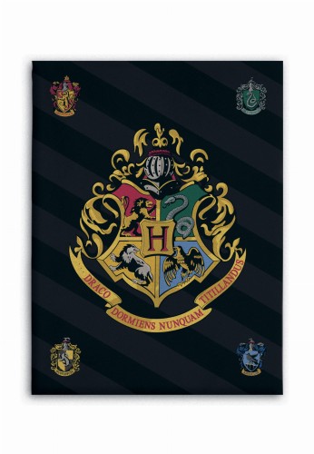 HP 067 FT.jpg
