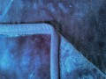 IMG_2204 a.jpg