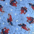 Spider-Man Blue 08 3.jpg