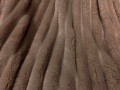 choclate-1.jpg