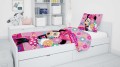 Minnie Bows and Flowers 2024 2.jpg