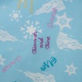 Frozen Light blue baby 4.jpg
