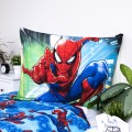 Spider-man 05 c.jpg