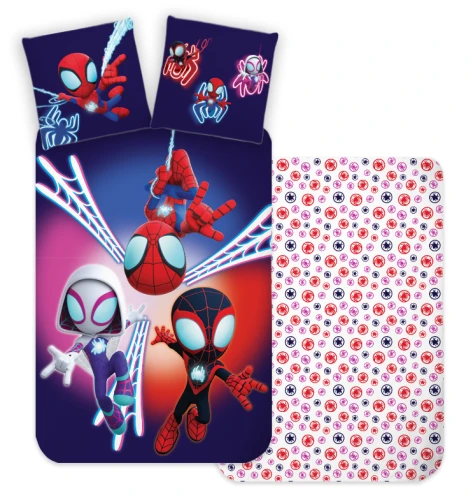 Spidey 5462 BL_.PNG