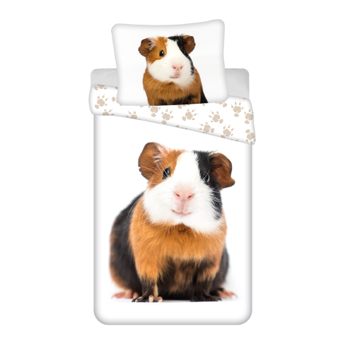 Guinea-pig 02.png