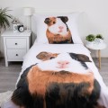 Guinea-pig 02 1.jpg