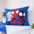Spidey 5.jpg