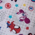 Spidey 4.jpg