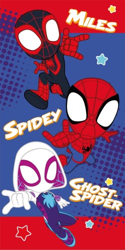 Spidey beach towel.jpg