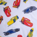 Cars Champion baby 5.jpg