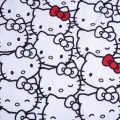 Hello Kitty 6.jpg